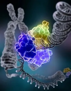 Quick T4 DNA Ligase (400 U/μL) - 40 KU