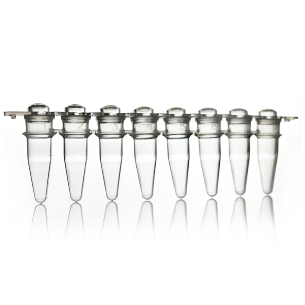 AmpliStar 8-Strip 0.2ml PCR Tubes and Domed Caps - 125 strips