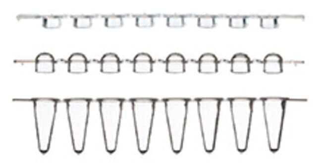 ABgene Strips of 8 Low Profile Tubes & Ultra Clear Cap Strips (250)