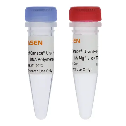[10145ES60] Hieff Canace™ Uracil+ High-Fidelity DNA polymerase (1 U/μL) - 100 U