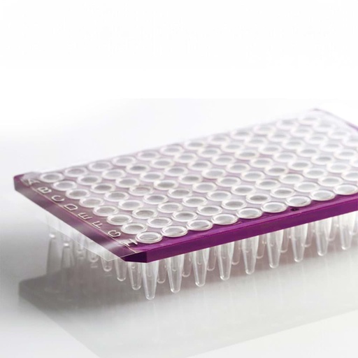 [SK-TP483] AmpliStar Adhesive PCR Film Seals - 100 sheets