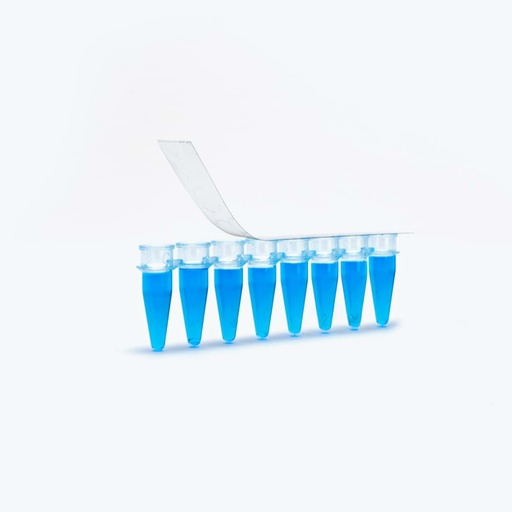 [SK-TP488] AmpliStar Ultrastrong Adhesive PCR Film Strips - 400 strips